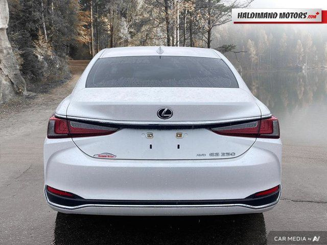 2022 Lexus ES ES 250 in Cars & Trucks in Hamilton - Image 4