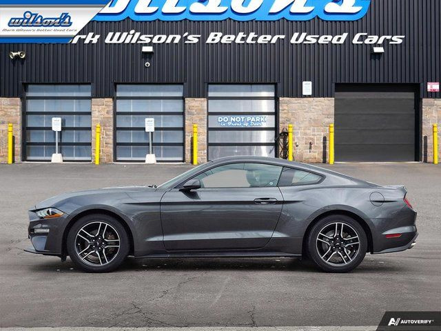 2020 Ford Mustang EcoBoost Premium Coupe | 6-Speed Manual in Cars & Trucks in Guelph - Image 2