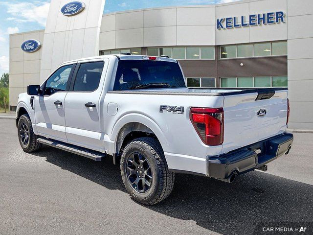 2025 Ford F-150 STX in Cars & Trucks in Brandon - Image 3