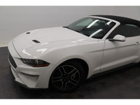 +Apple Carplay +Android Auto +Bluetooth +Caméra de recul / Backup camera +Régulateur de vitesse / Cr... (image 3)