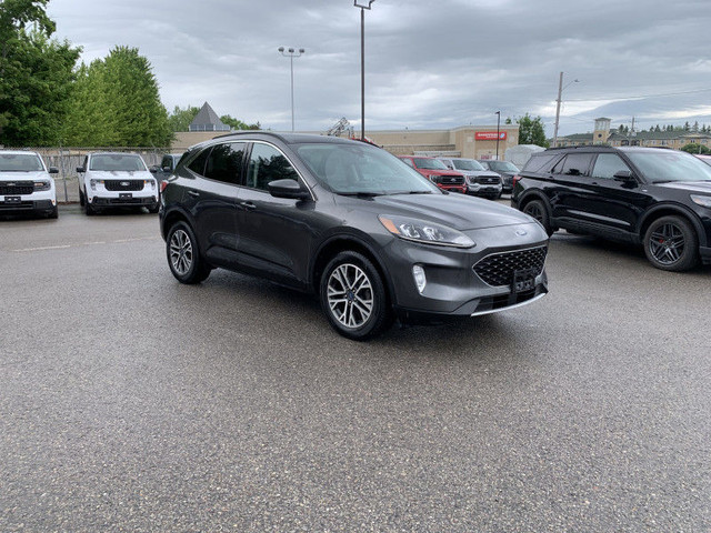 2020 Ford Escape SEL 4WD - Leather/Roof/Nav/Co-Pilot/LOADED!!! in Cars & Trucks in Kawartha Lakes - Image 3