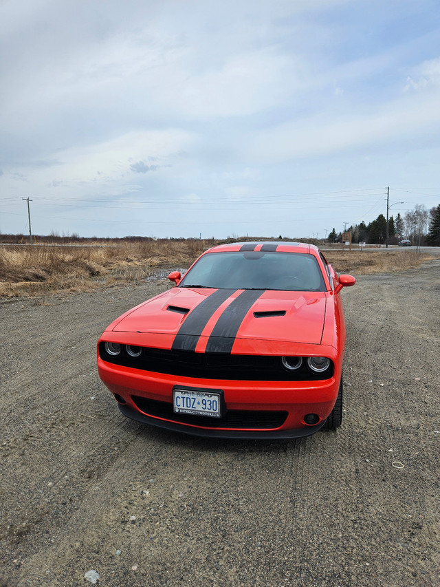 2017 Dodge Challenger SXT in Cars & Trucks in Sudbury - Image 2