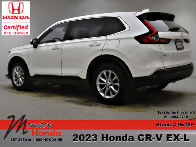  2023 Honda CR-V EX-L in Cars & Trucks in Moncton - Image 4