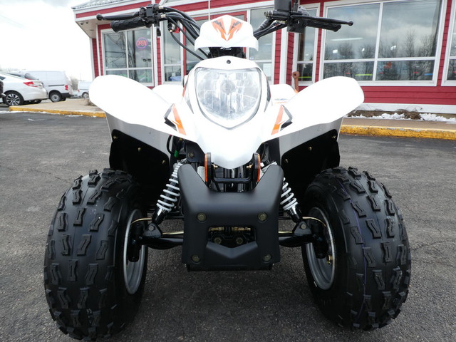  2022 Argo Other 90cc , Electric Start , Forward & Reverse in ATVs in Moncton - Image 2