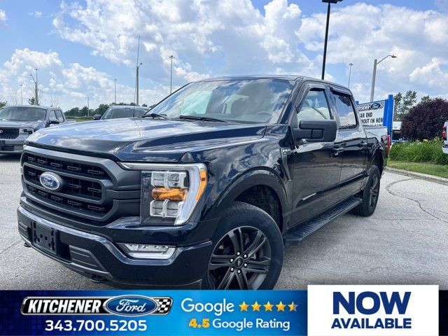 2021 Ford F-150 XLT in Cars & Trucks in Kitchener / Waterloo