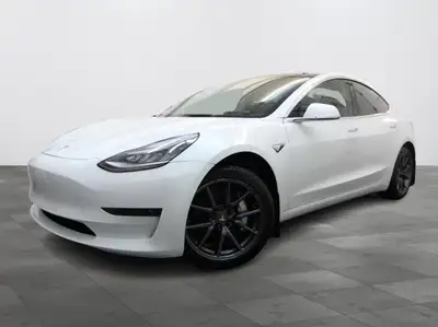 2020 TESLA MODEL 3 Standard Range Plus MAGS 18 NAVI CAMERA 2020 TESLA MODEL 3 STANDARD RANGE PLUS **...