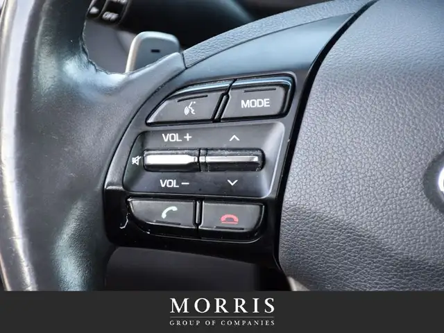 2018 Hyundai Ioniq Limited in Cars & Trucks in Winnipeg - Image 16