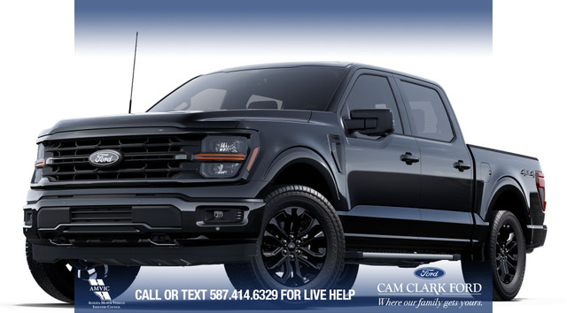 2025 Ford F-150 XLT in Cars & Trucks in Calgary