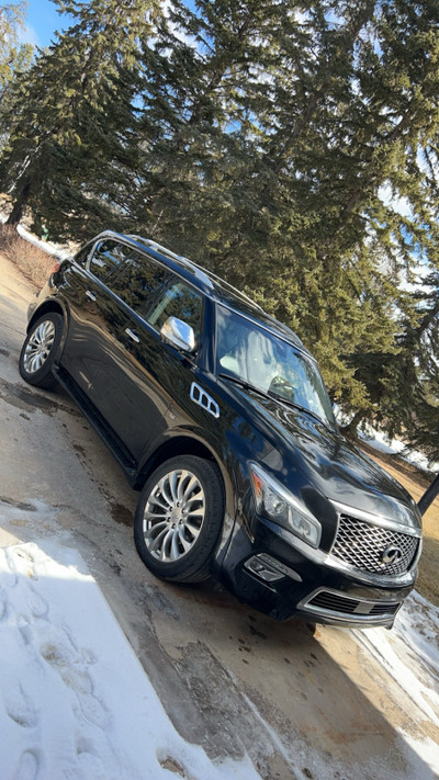 2015 Infiniti QX80