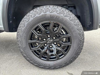 Conquer any terrain with this 2023 Chevrolet Colorado Trail Boss, boasting a powerful 2.7L Turbo Hig... (image 9)