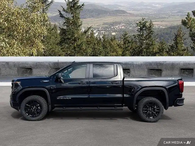 2025 GMC Sierra 1500 Pro in Cars & Trucks in Cowichan Valley / Duncan - Image 3