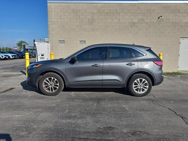 2022 Ford Escape SE in Cars & Trucks in Windsor Region - Image 3