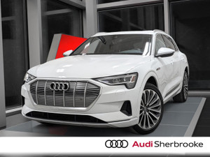 2019 Audi e-tron Progressiv