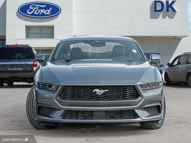 2025 Ford Mustang EcoBoost Premium in Cars & Trucks in Edmonton - Image 2