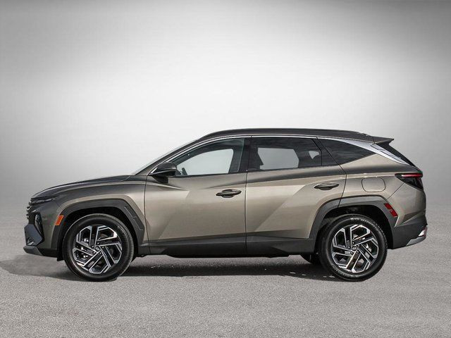 2025 Hyundai Tucson Hybrid Ultimate in Cars & Trucks in Fredericton - Image 3