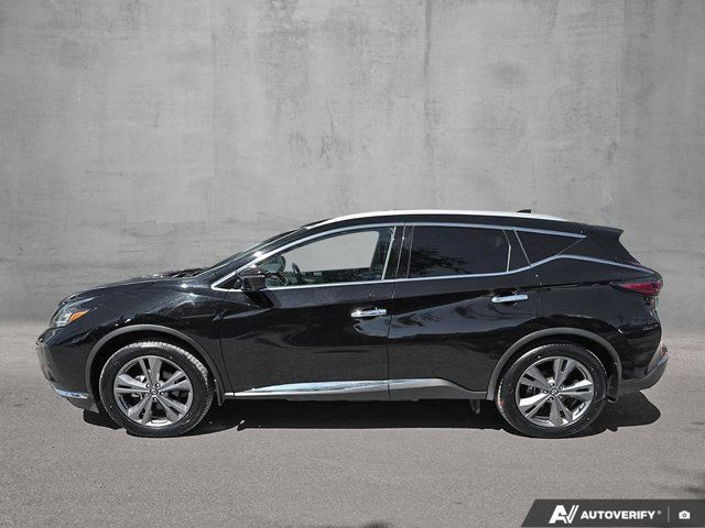 2024 Nissan Murano Platinum in Cars & Trucks in Ottawa - Image 2