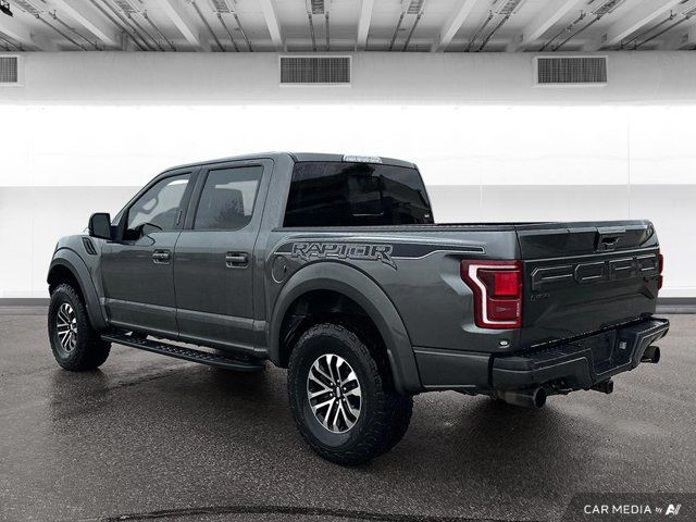 2020 Ford F-150 Raptor in Cars & Trucks in Winnipeg - Image 3