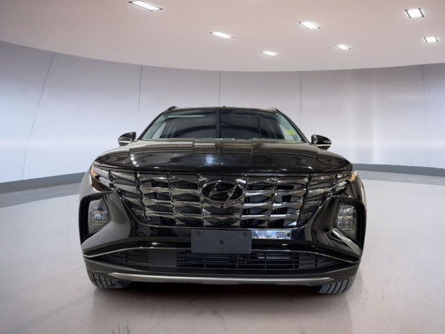 2024 Hyundai Tucson Plug-In Hybrid Ultimate in Cars & Trucks in Moose Jaw - Image 2