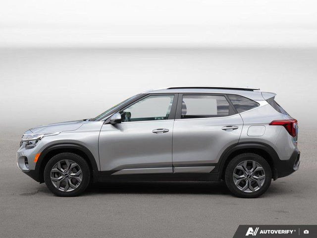 2024 Kia Seltos EX in Cars & Trucks in Hamilton - Image 2