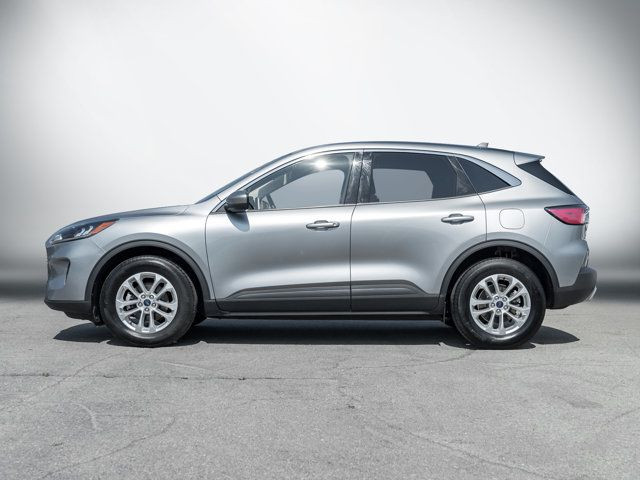 2021 Ford Escape SE | Clean Carfax | AWD | Rearview Camera in Cars & Trucks in Hamilton - Image 3