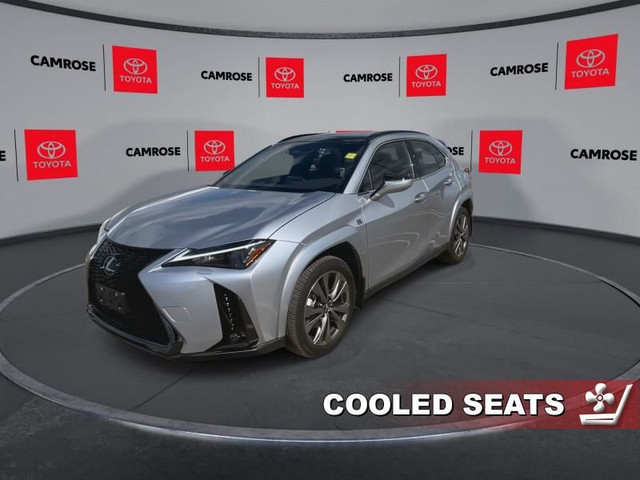 2025 Lexus UX 300h Like new in Cars & Trucks in Edmonton - Image 4