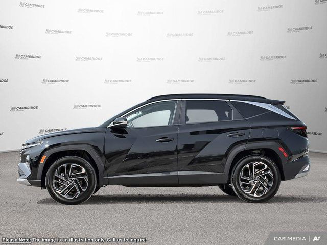 2025 Hyundai Tucson Hybrid in Cars & Trucks in Cambridge - Image 3