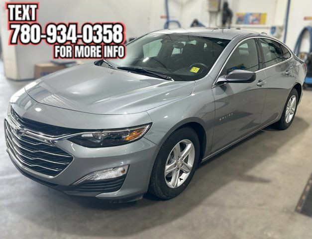 2023 Chevrolet Malibu LS in Cars & Trucks in Lloydminster - Image 2
