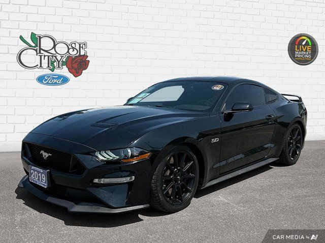 2019 Ford Mustang | Manual | GT Performance Package | 5.0L V8 in Cars & Trucks in Windsor Region