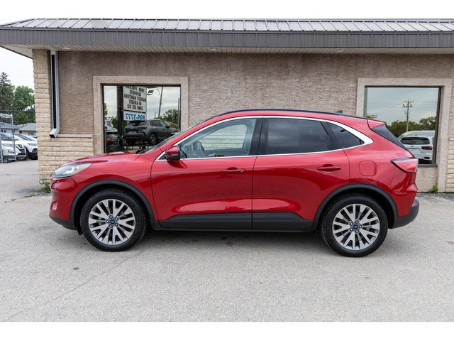 2020 Ford Escape TITANIUM HYBRID AWD | PANORAMIC SUNROOF | LEATH in Cars & Trucks in Winnipeg - Image 4