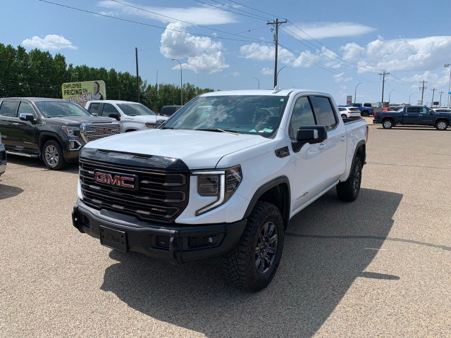 2024 GMC Sierra 1500 in Cars & Trucks in Medicine Hat - Image 3