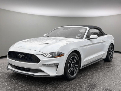 2022 Ford Mustang EcoBoost + CONVERTIBLE/LEATHER/REAR VIEW CAM/N