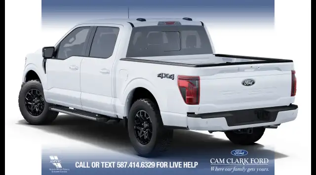 2025 Ford F-150 XLT in Cars & Trucks in Calgary - Image 3