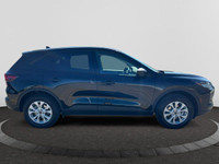 Check out this vehicle's pictures, features, options and specs, and let us know if you have any ques... (image 5)
