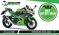 2023 Kawasaki NINJA 650 KRT EDITION