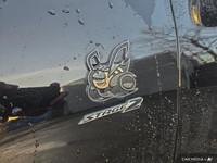 All-New Dodge Charger Daytona EVs have arrived and are now available! Check this Scat Pack model fin... (image 8)