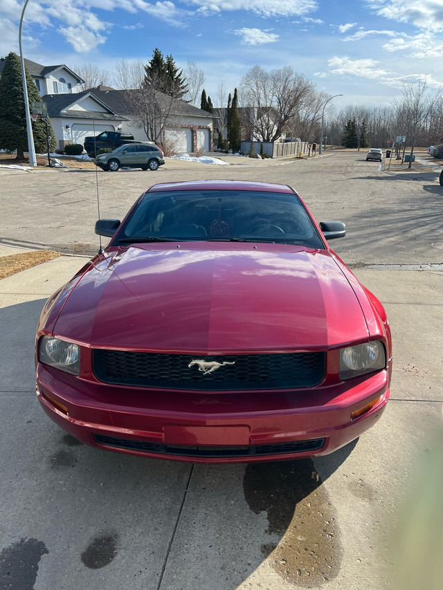 2005 Ford Mustang V6 in Cars & Trucks in Strathcona County - Image 2
