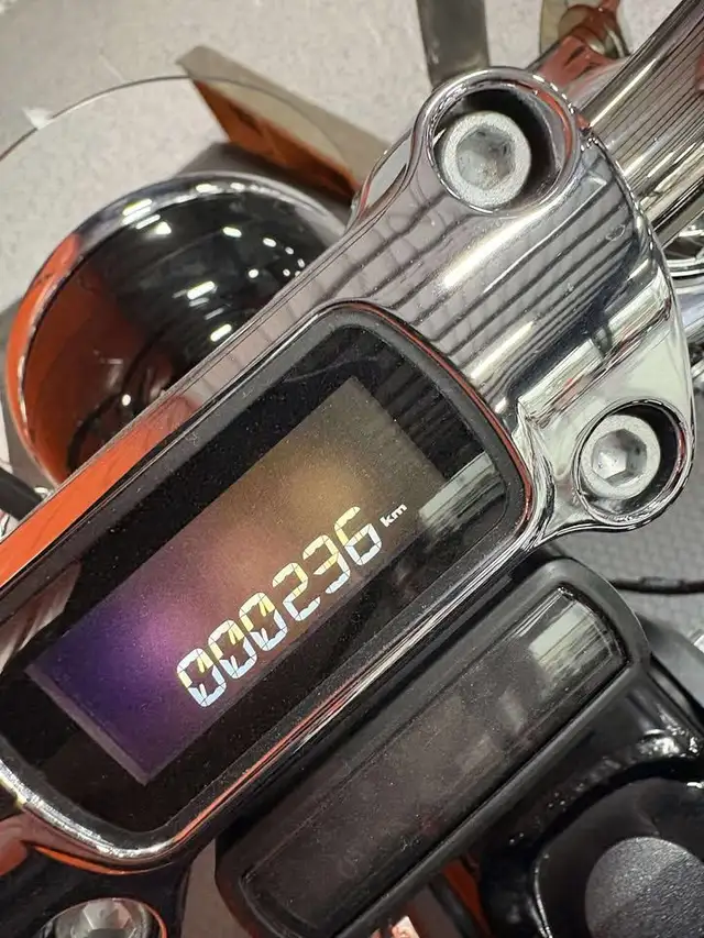 2024 Harley-Davidson Softail Standard in Street, Cruisers & Choppers in Moncton - Image 10