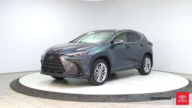 2025 Lexus NX 350h in Cars & Trucks in Lethbridge