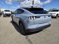 Employee Pricing on now! You pay what we pay on every New and Used Vehicle at Maclin Ford - Calgarys... (image 9)