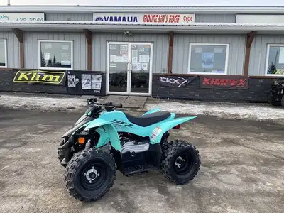 + applicable taxes and fees will apply Engine Type: Single-Cylinder Displacement: 3 cu. in. (49 cc)...