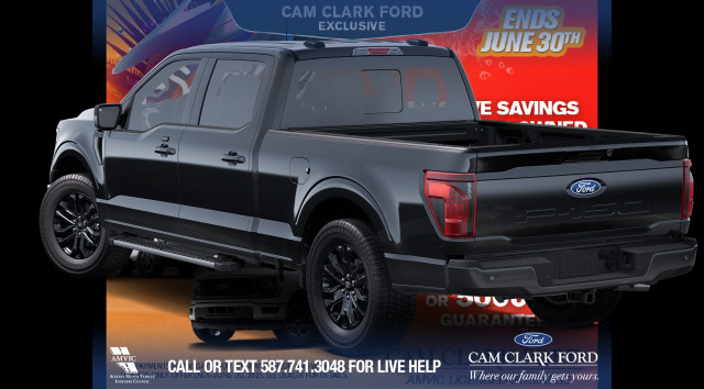 2025 Ford F-150 XLT in Cars & Trucks in Red Deer - Image 2