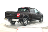 Accident Free - Low Kilometers - SuperCrew w/ 5.5ft. Box For sale at Saskatoon Auto Connection, this... (image 7)
