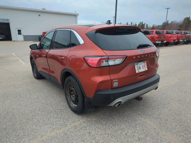 2020 Ford Escape SE in Cars & Trucks in Miramichi - Image 3