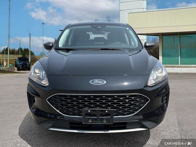 2022 Ford Escape SE in Cars & Trucks in Kitchener / Waterloo - Image 3