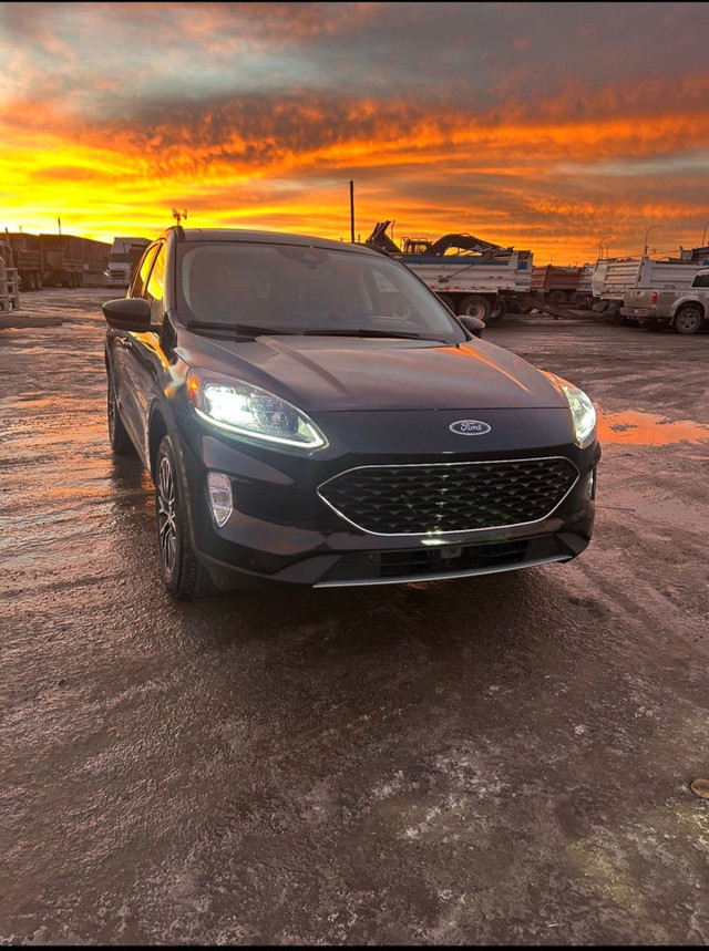2022 Ford Escape Hybrid Titanium 4dr SUV (2.5L 4cyl gas/electric in Cars & Trucks in Calgary - Image 2
