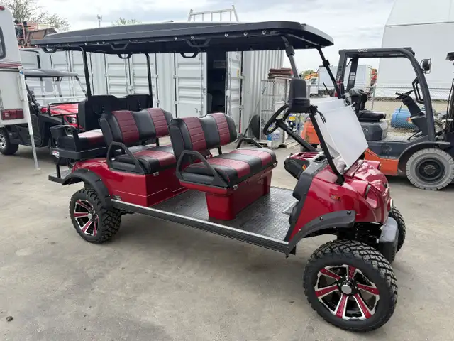2025 HDK Golf Cart FORESTER 6+ RED in ATVs in St. Albert - Image 2