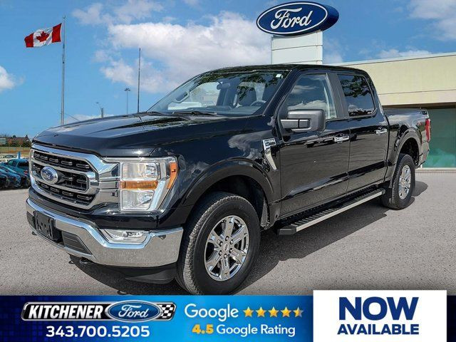 2022 Ford F-150 XLT in Cars & Trucks in Kitchener / Waterloo