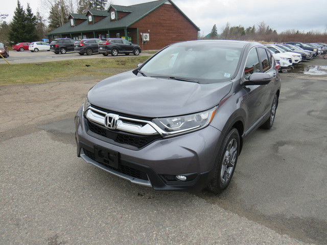  2019 Honda CR-V EX-L AWD in Cars & Trucks in Truro - Image 2