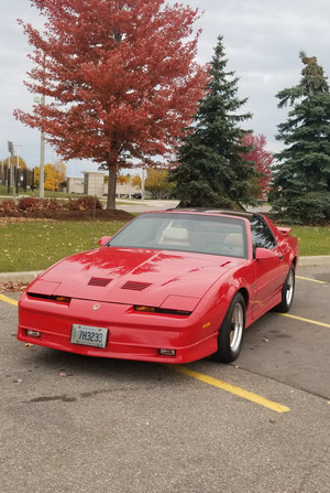 1987 Pontiac Firebird Trans Am Gta