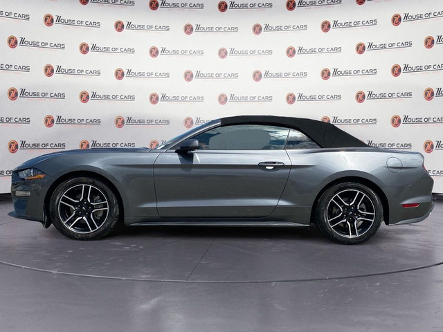2023 Ford Mustang EcoBoost Convertible in Cars & Trucks in Calgary - Image 2
